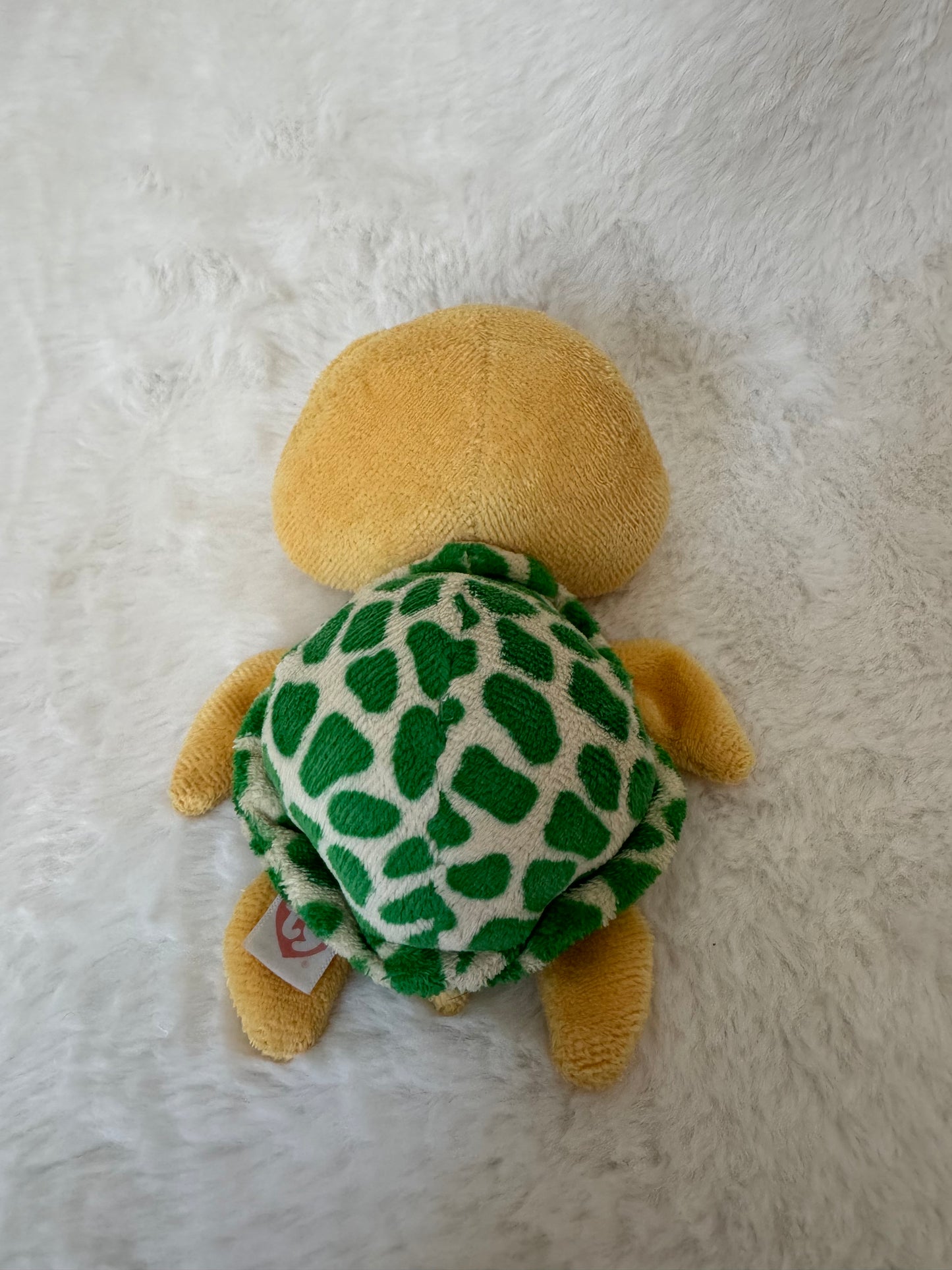 Schildkröte
