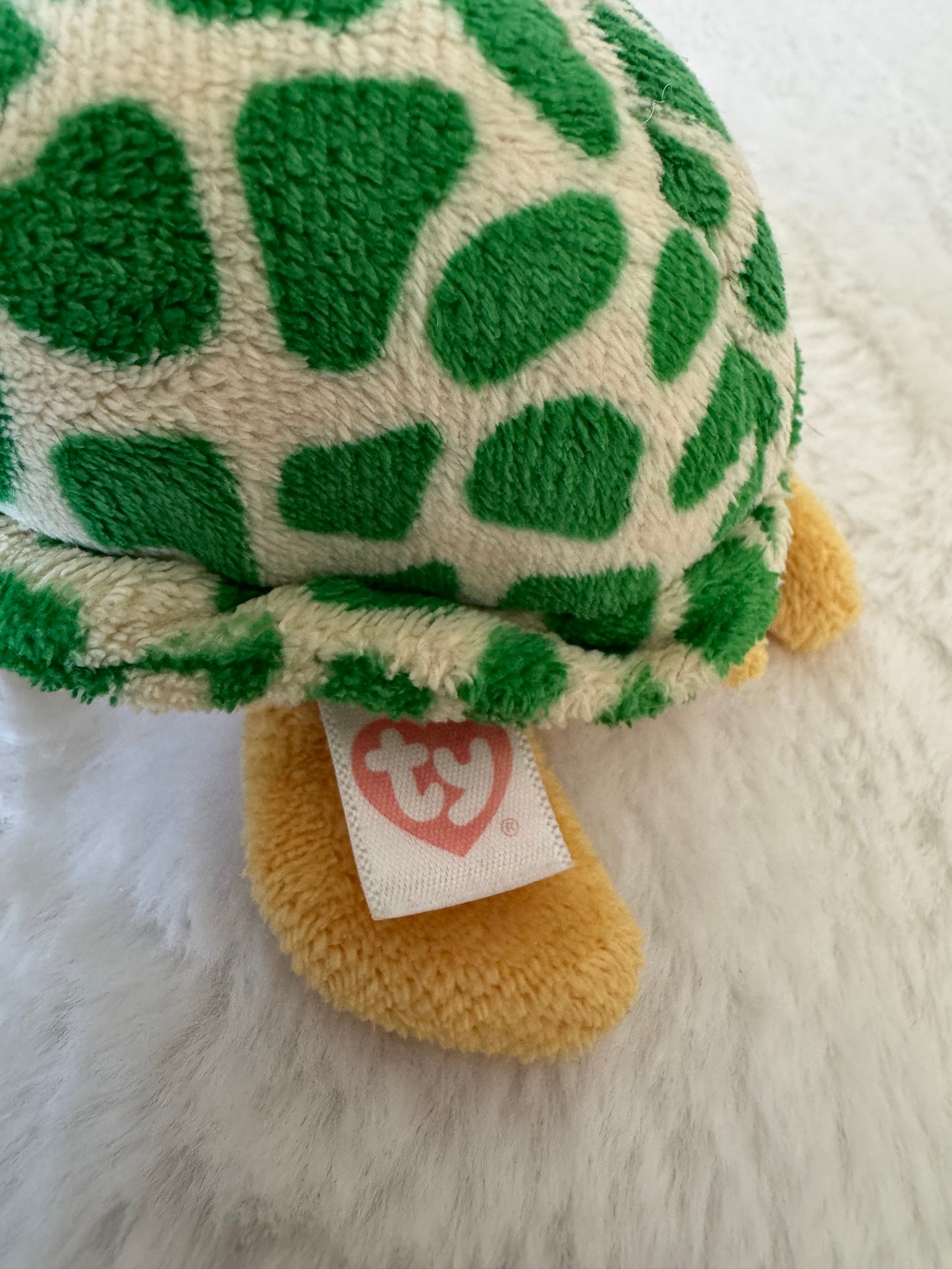 Schildkröte