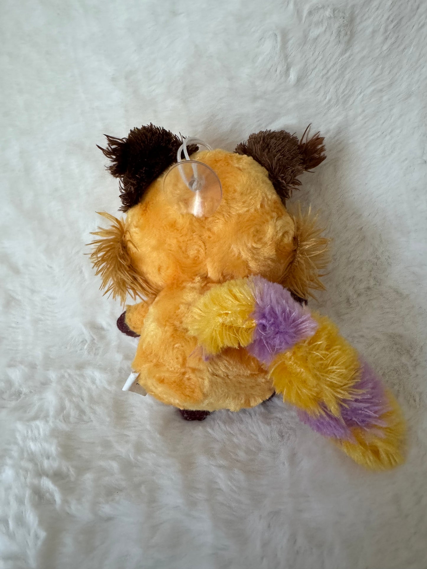 Galagos mit Saugnapf
