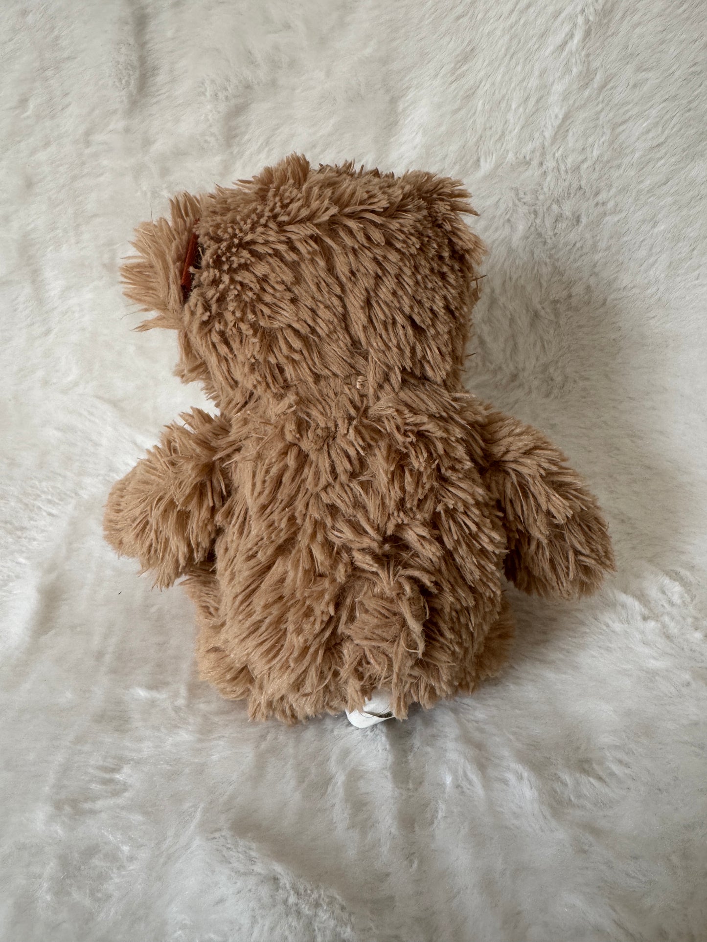 Teddybär