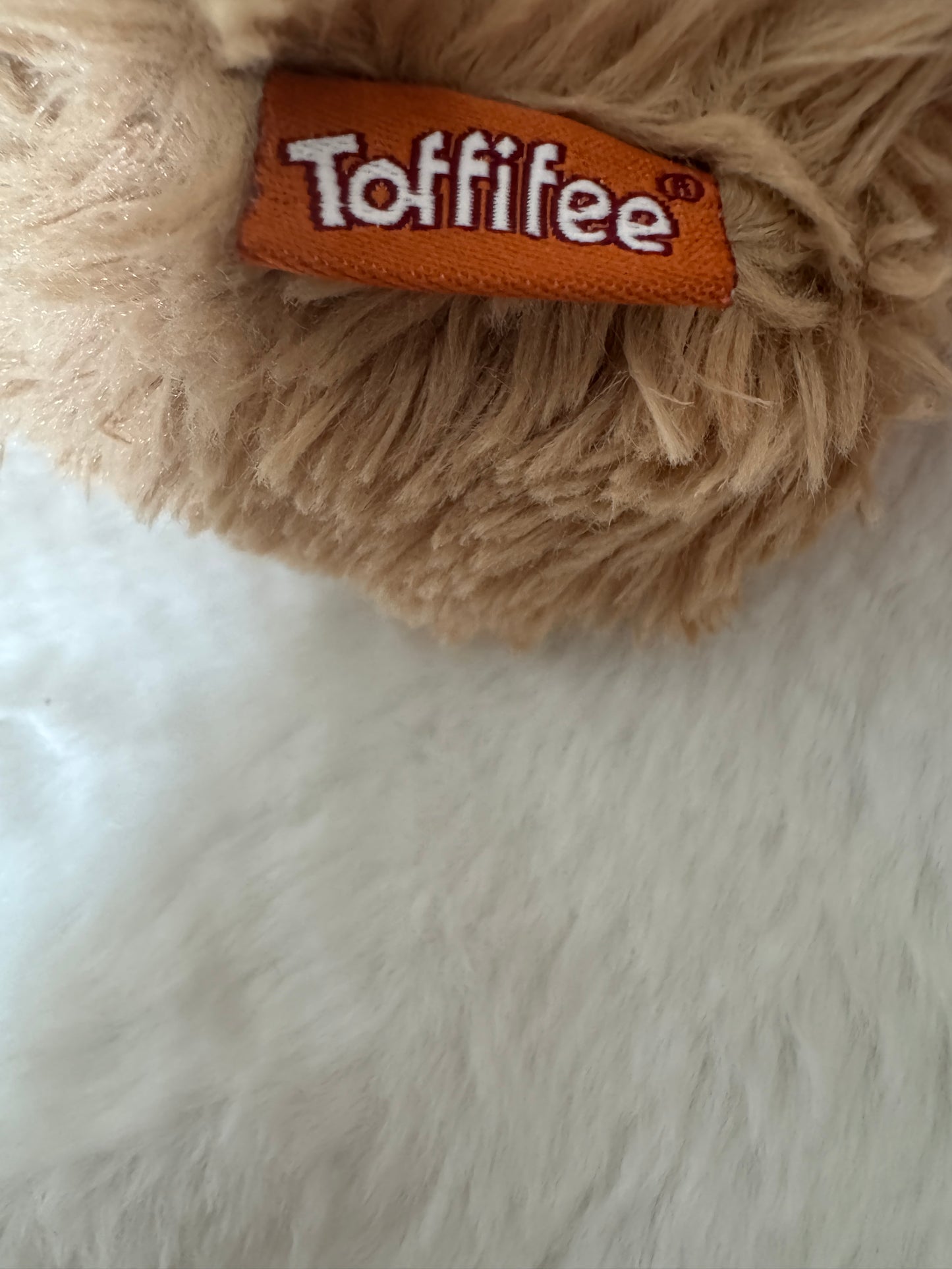 Teddybär