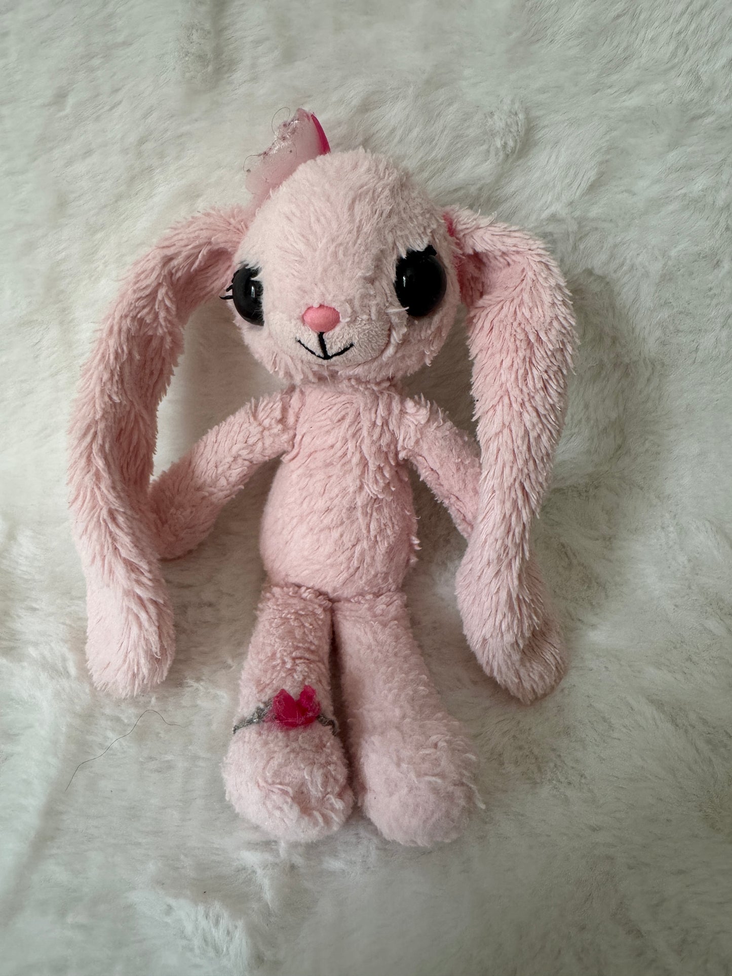 Hase