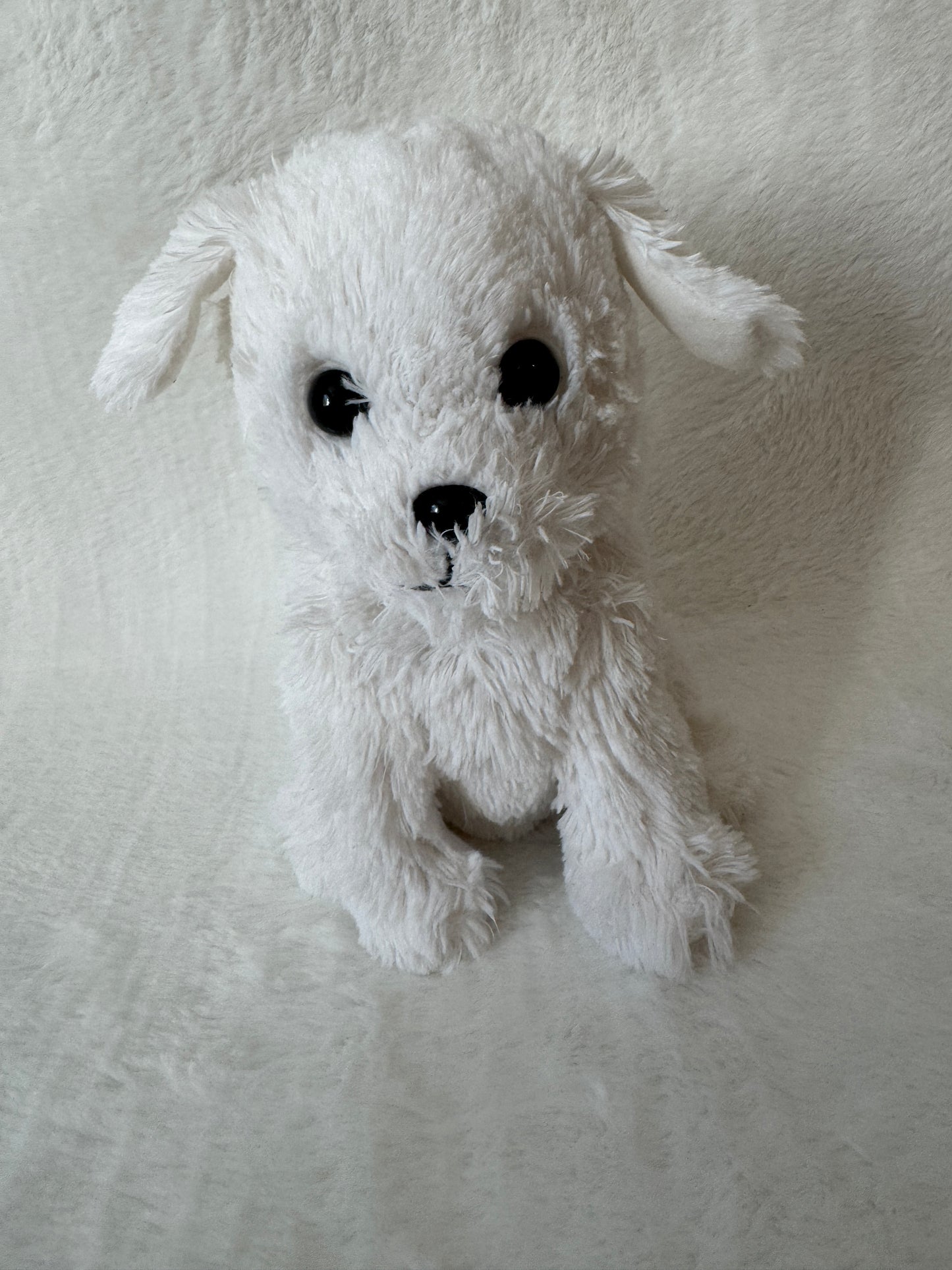 Hund