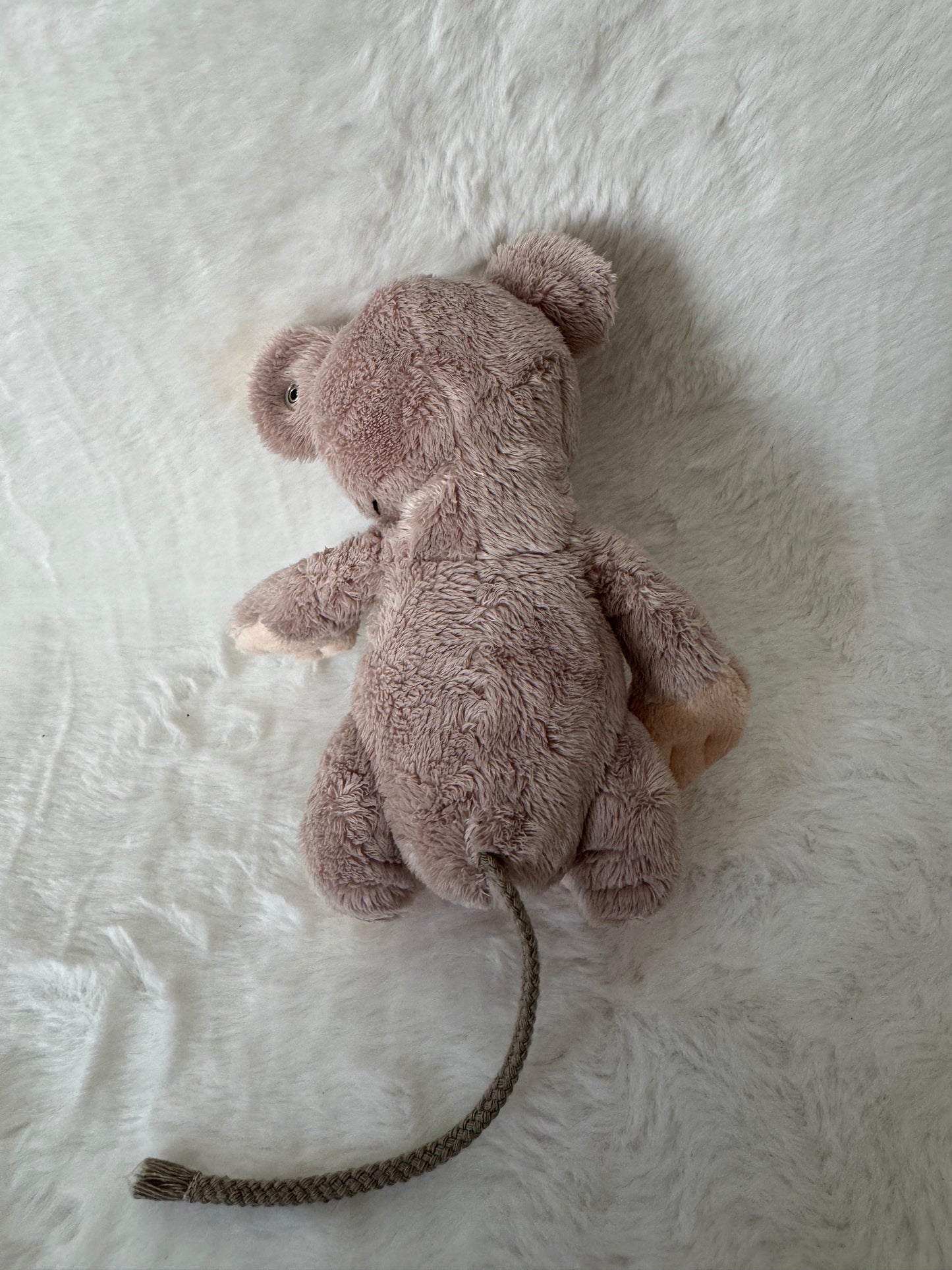 Maus