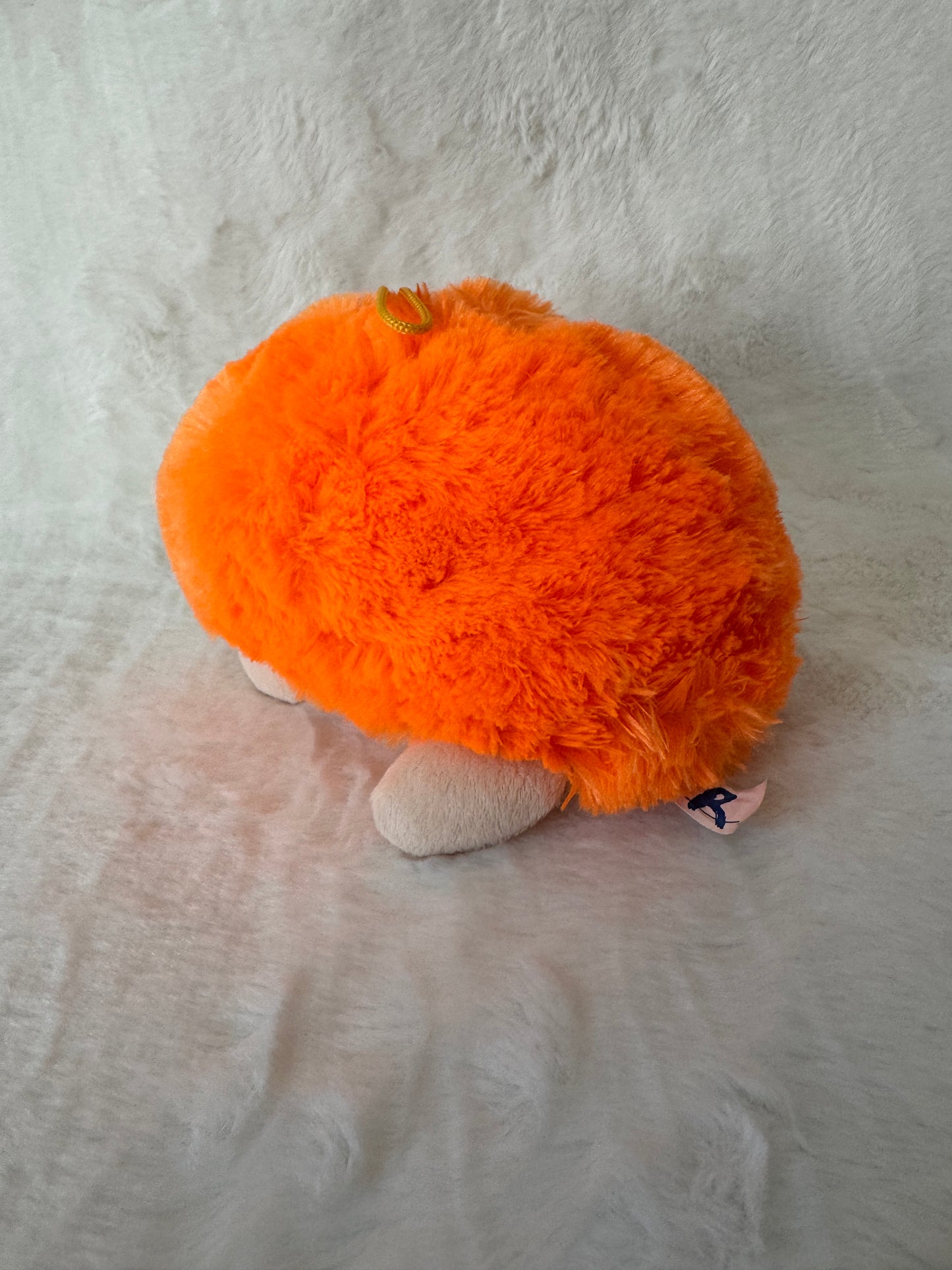 Igel