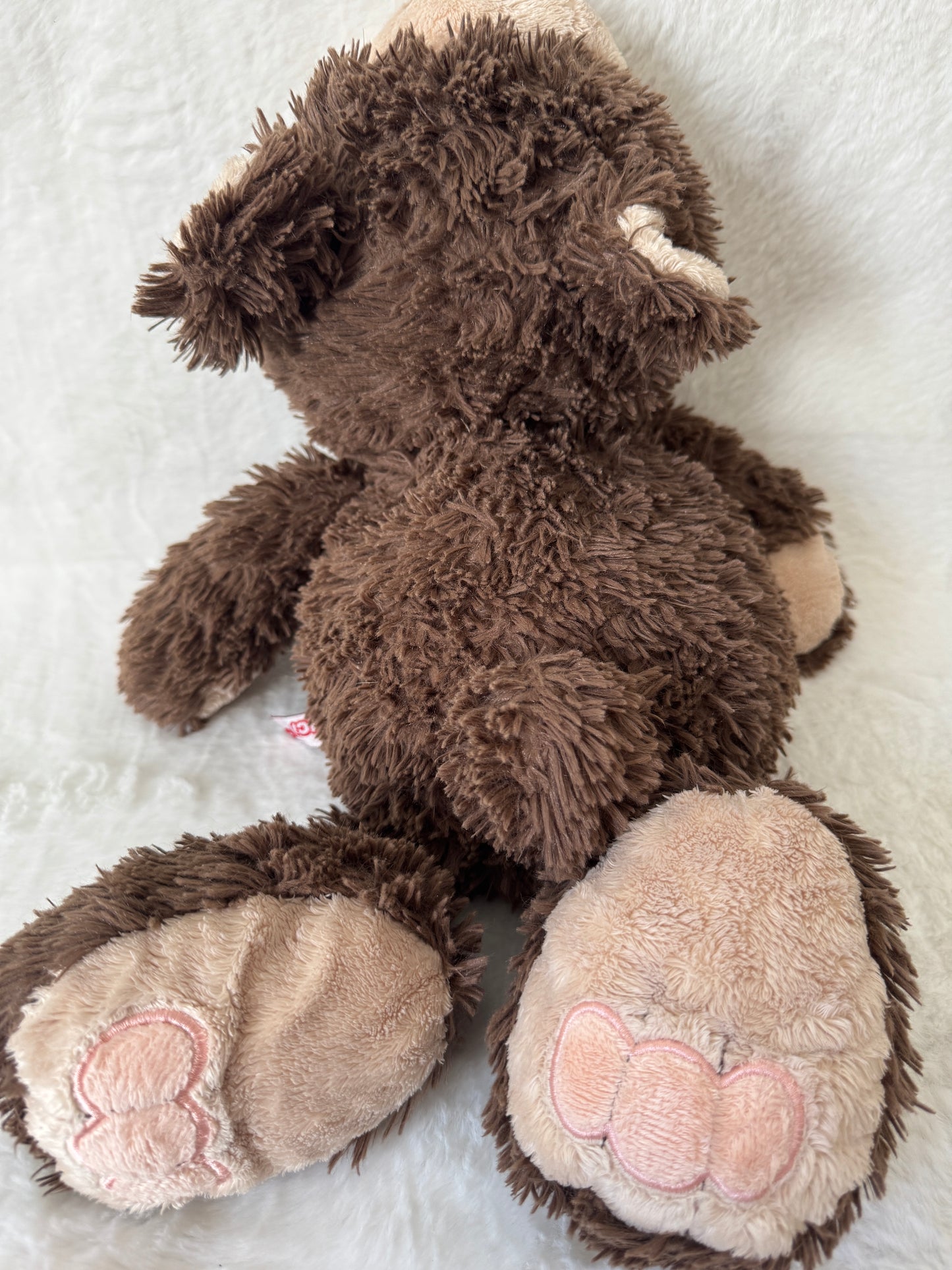 Teddybär Groß