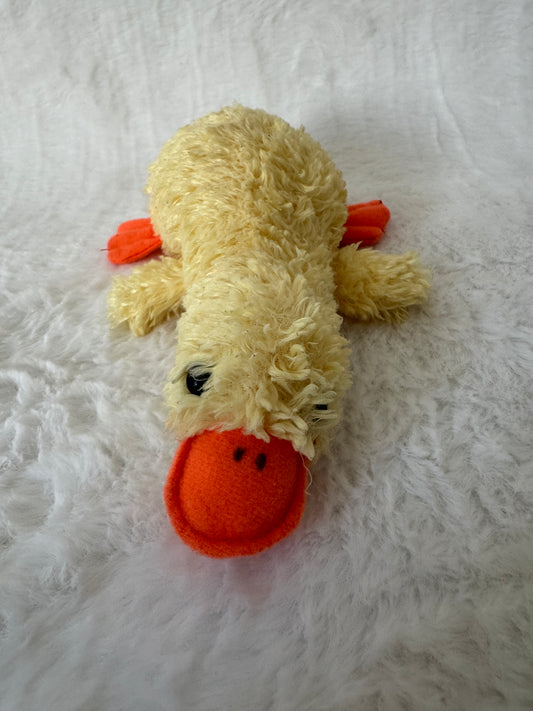 Ente / Küken