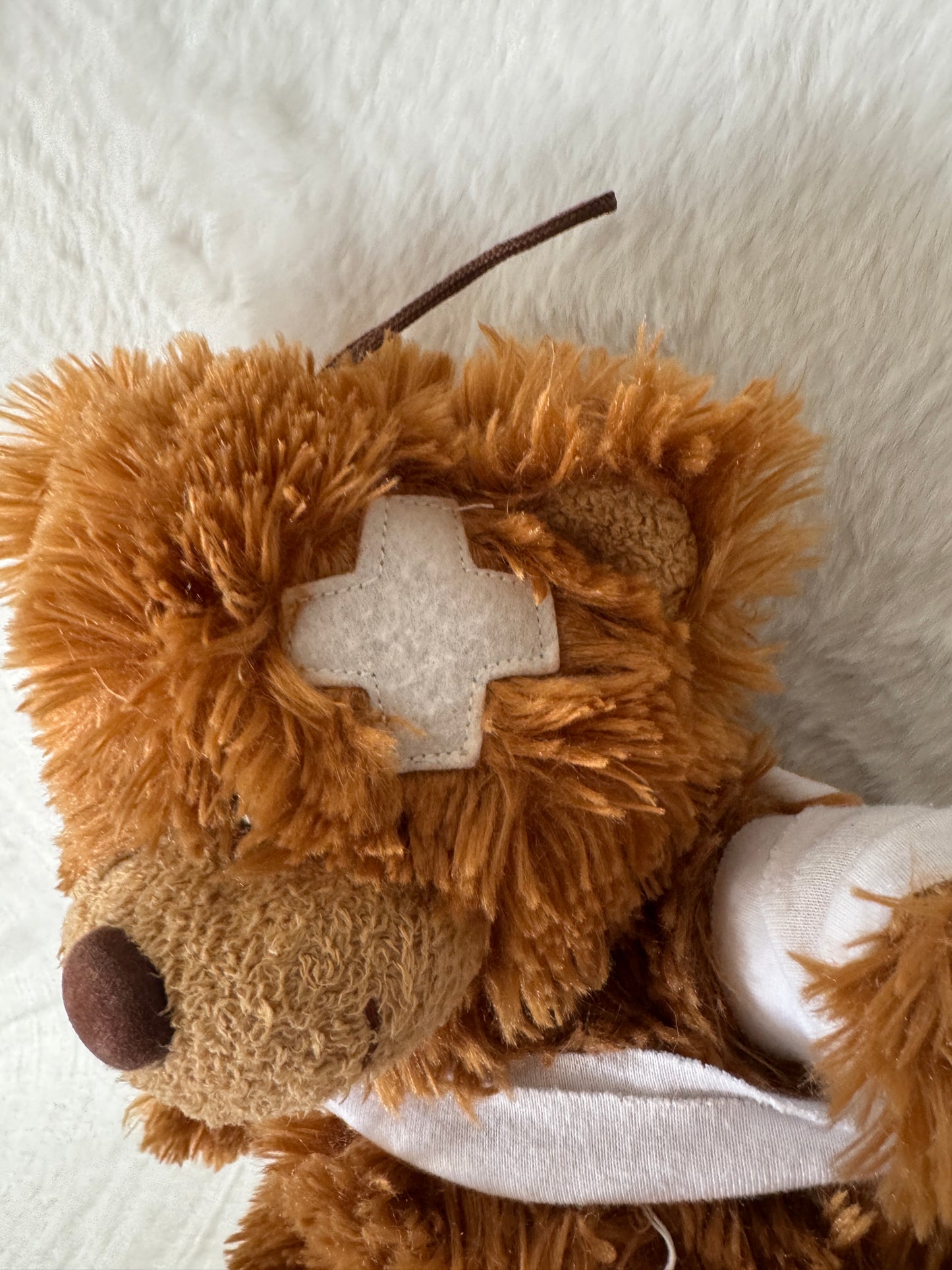 Teddybär