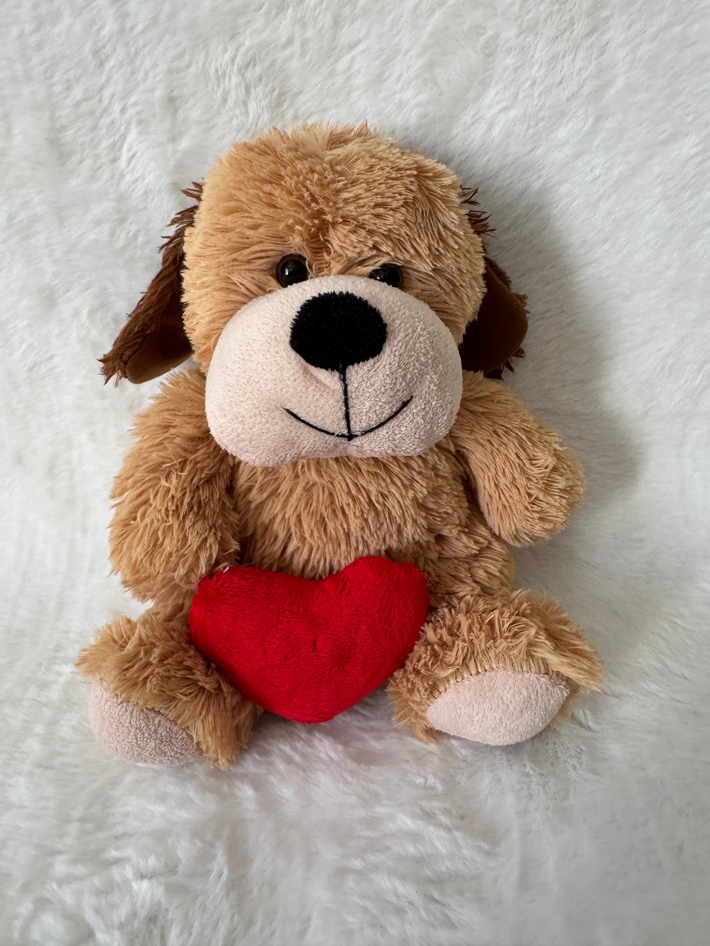 Teddybär mit Herz