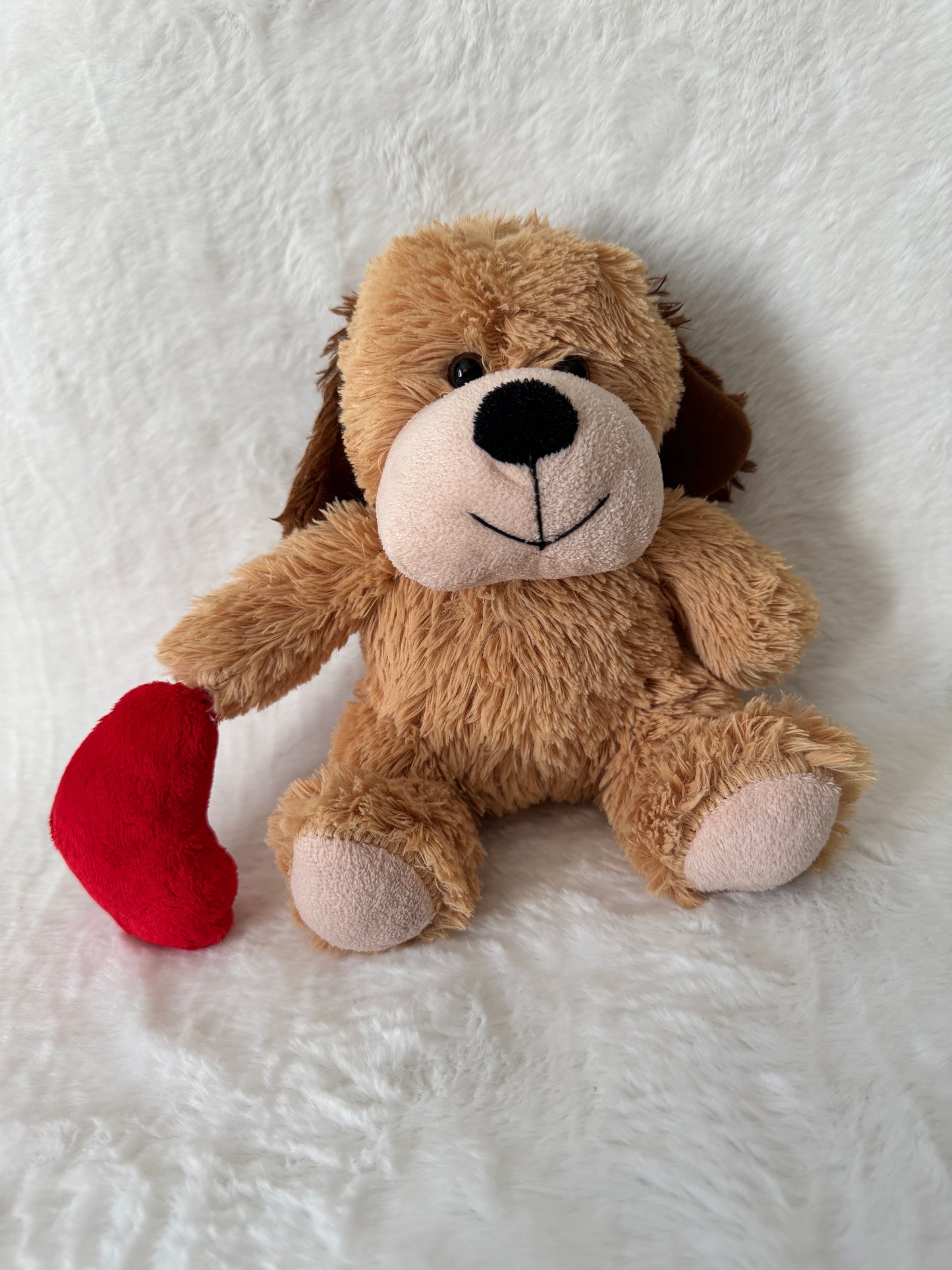 Teddybär mit Herz
