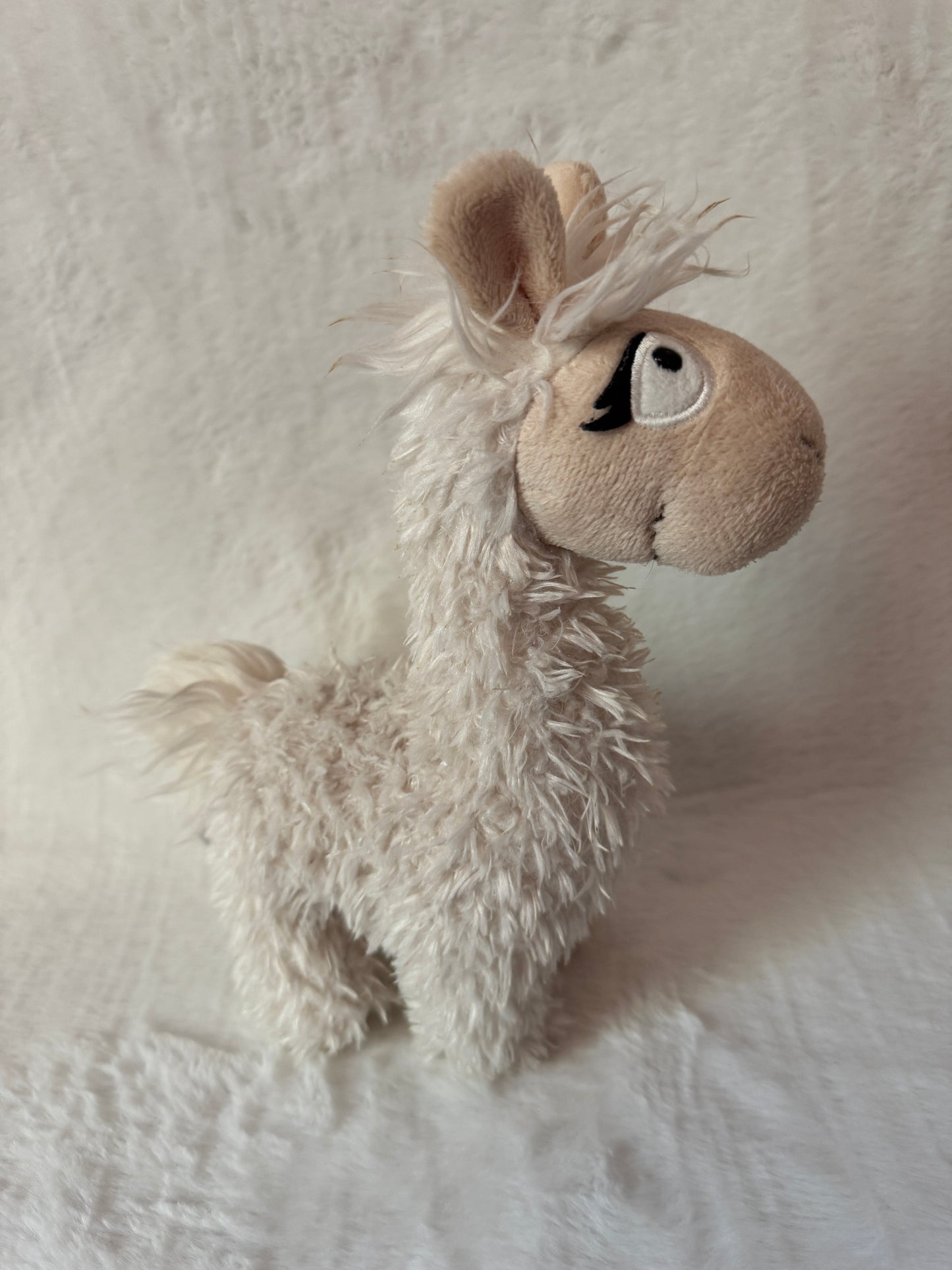 Lama