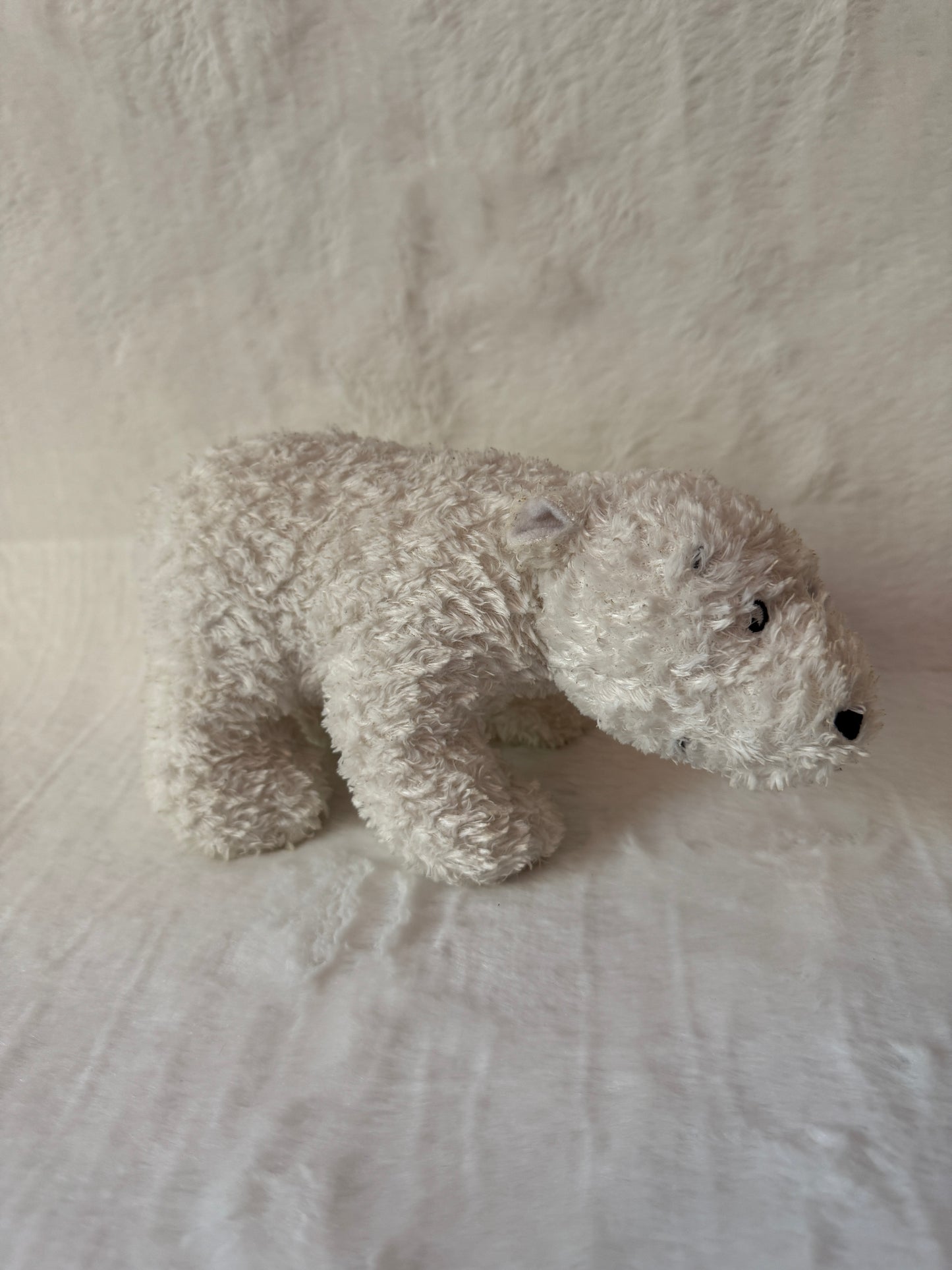 Eisbär