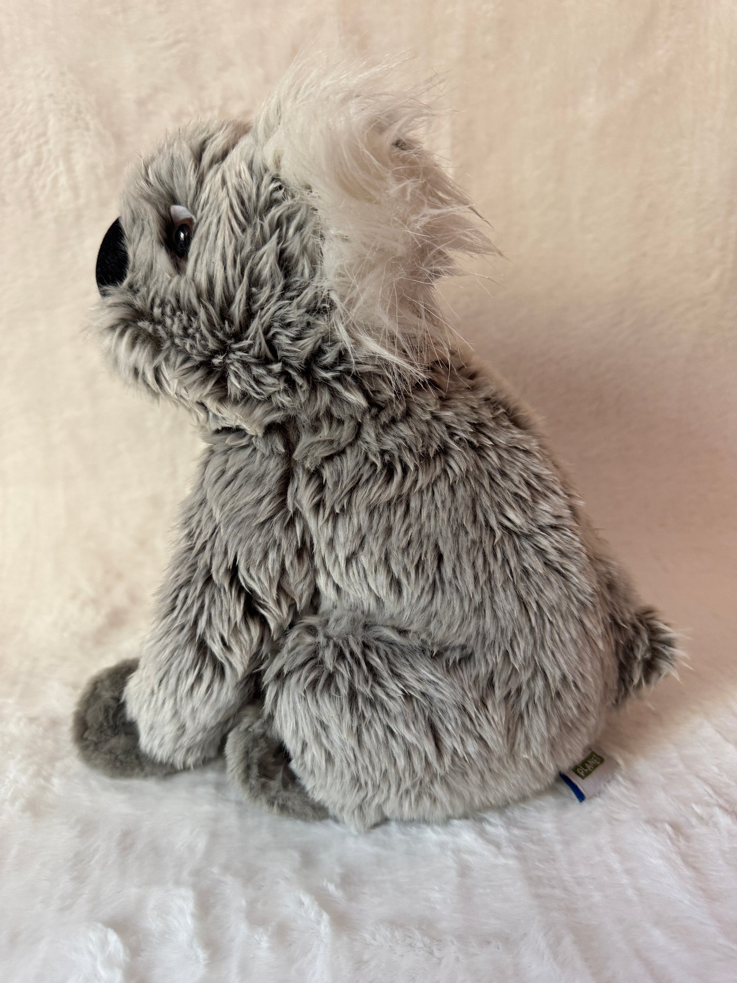 Kaola