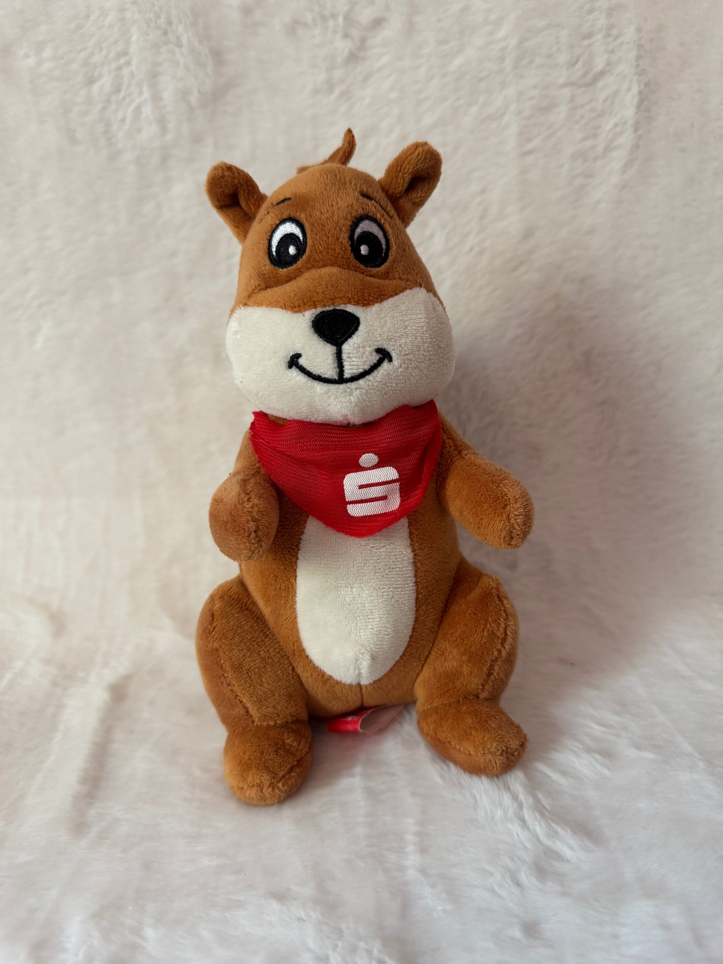 Eichhörnchen