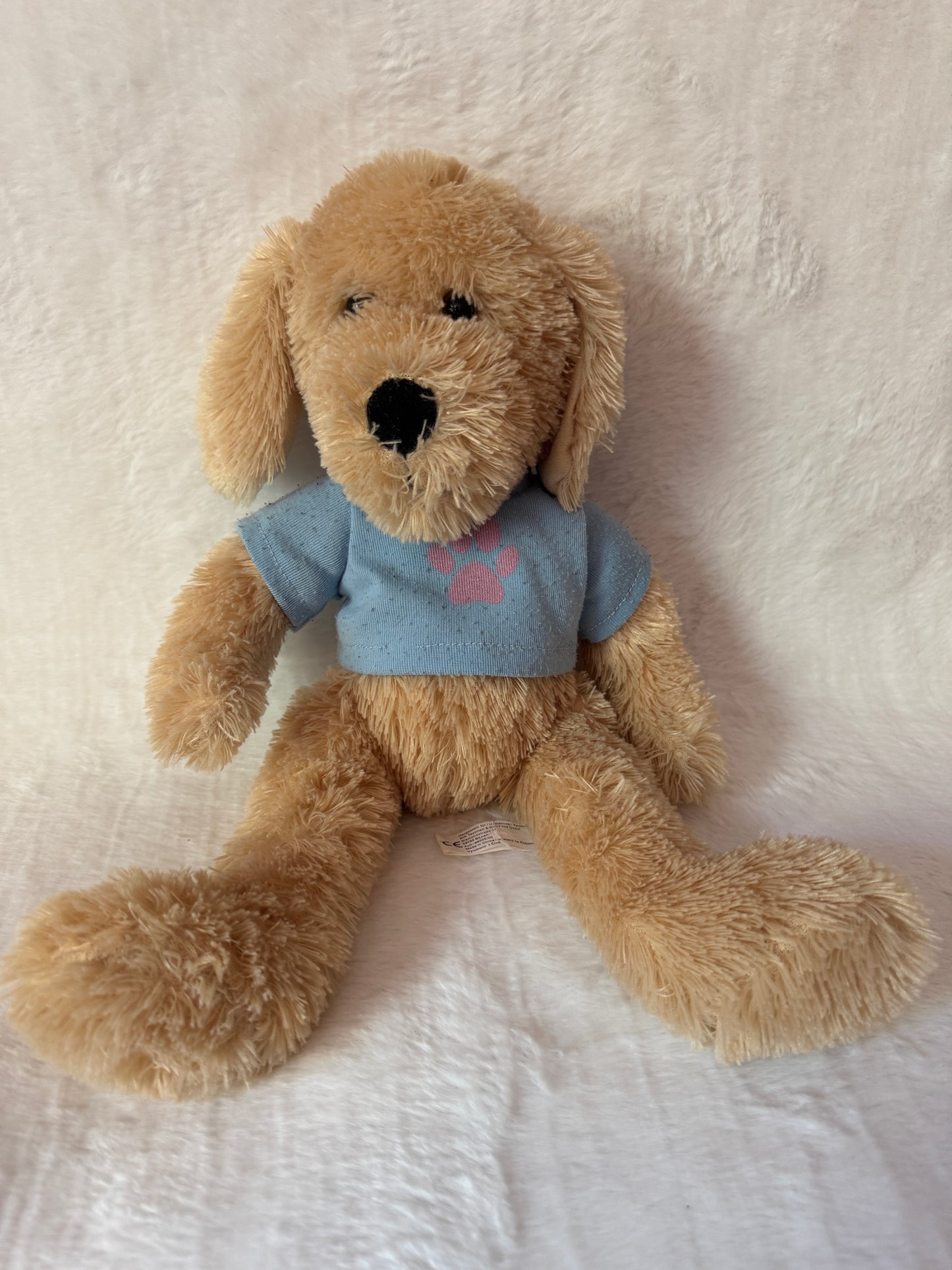 Teddy