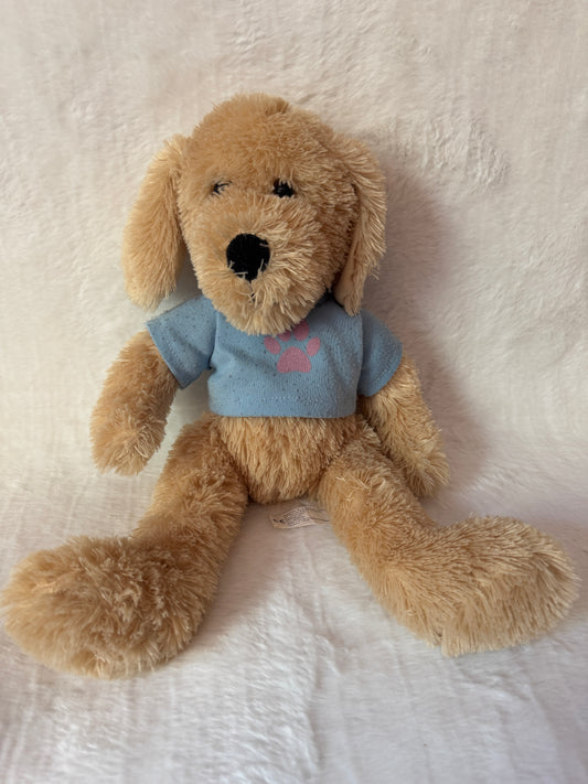 Teddy