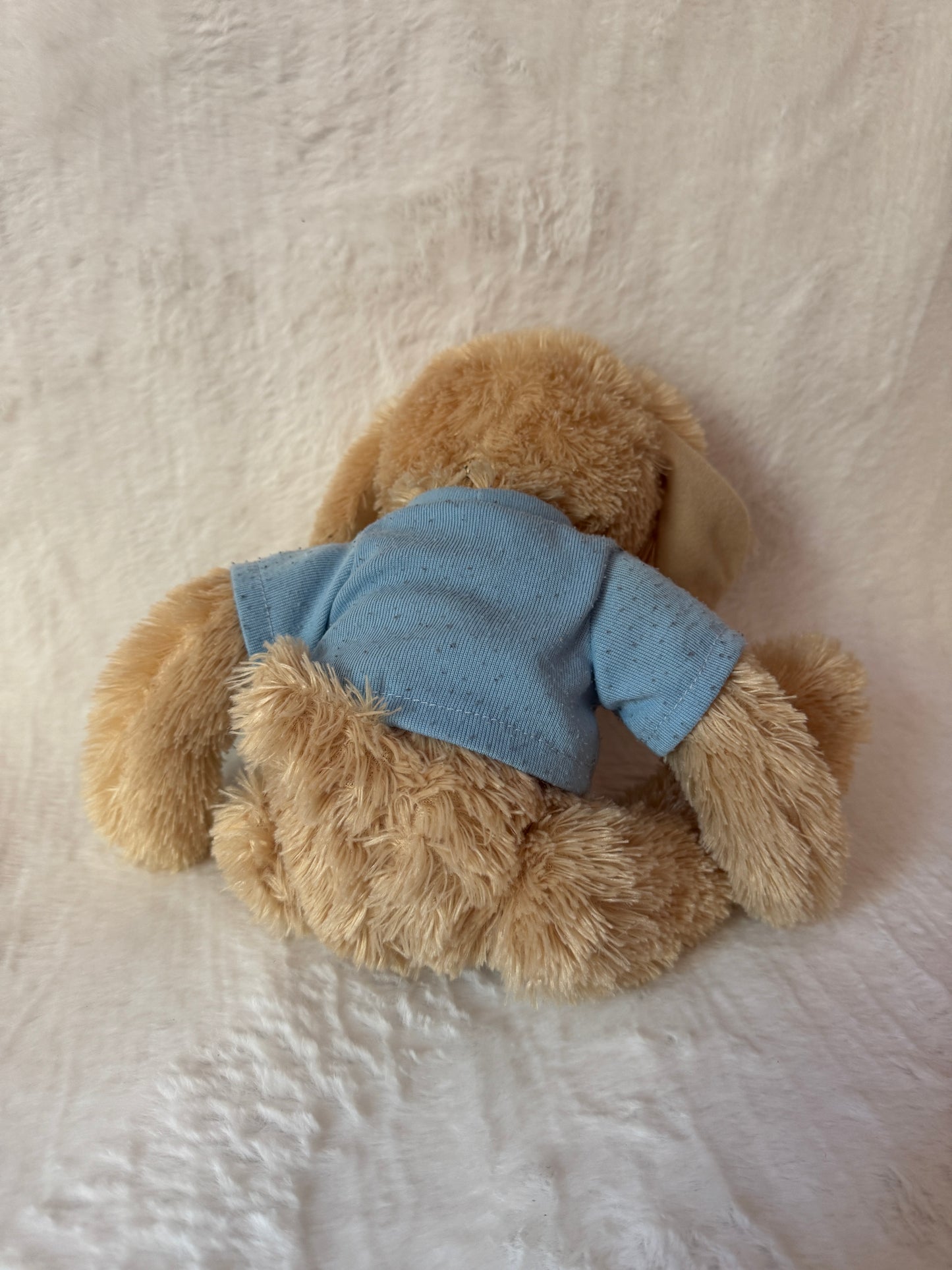 Teddy