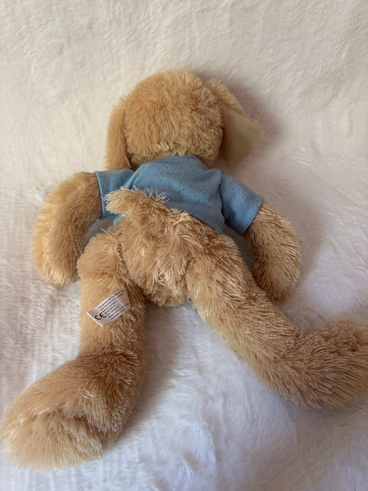 Teddy