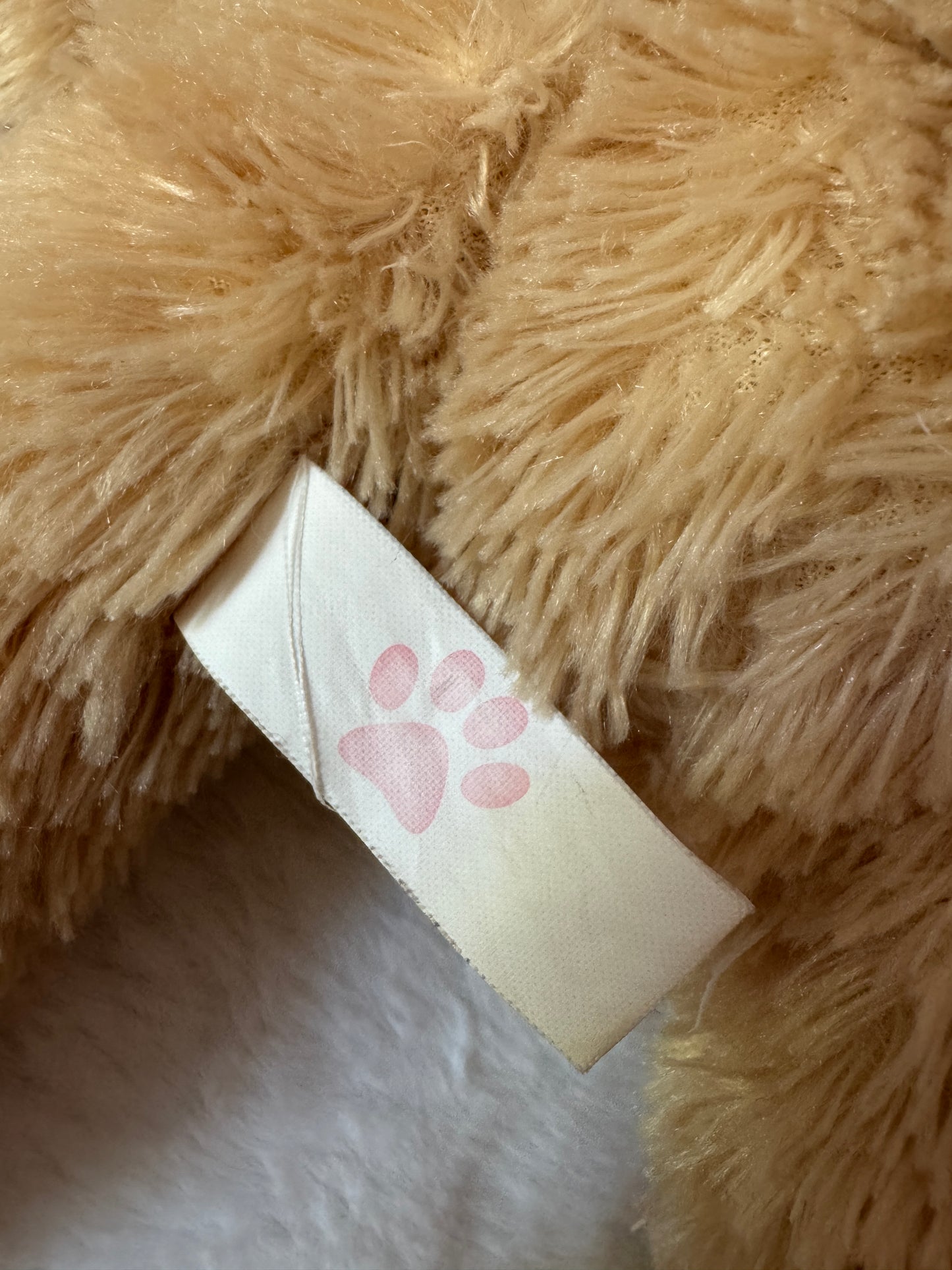 Teddy