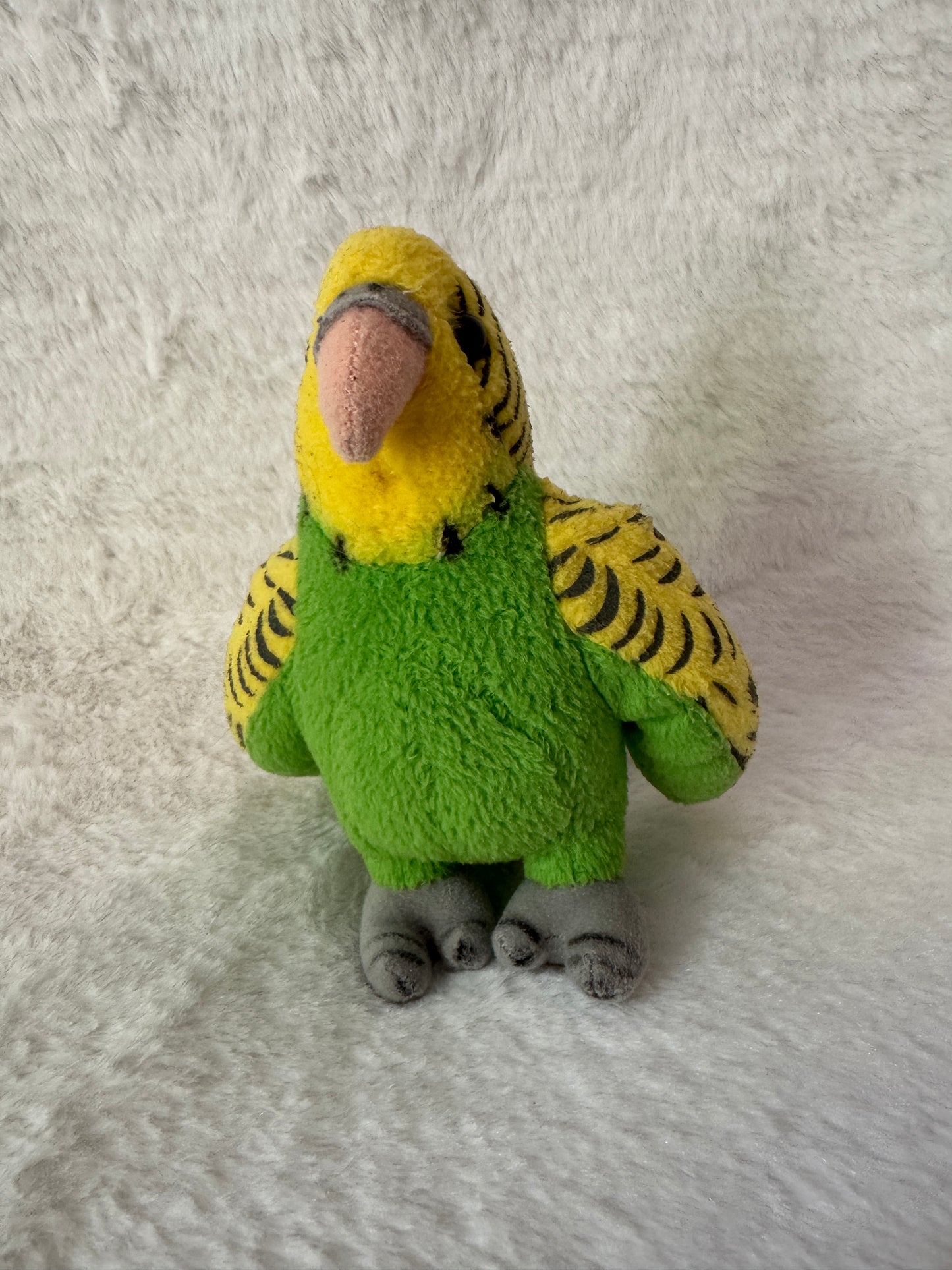 Vogel Wellensittich