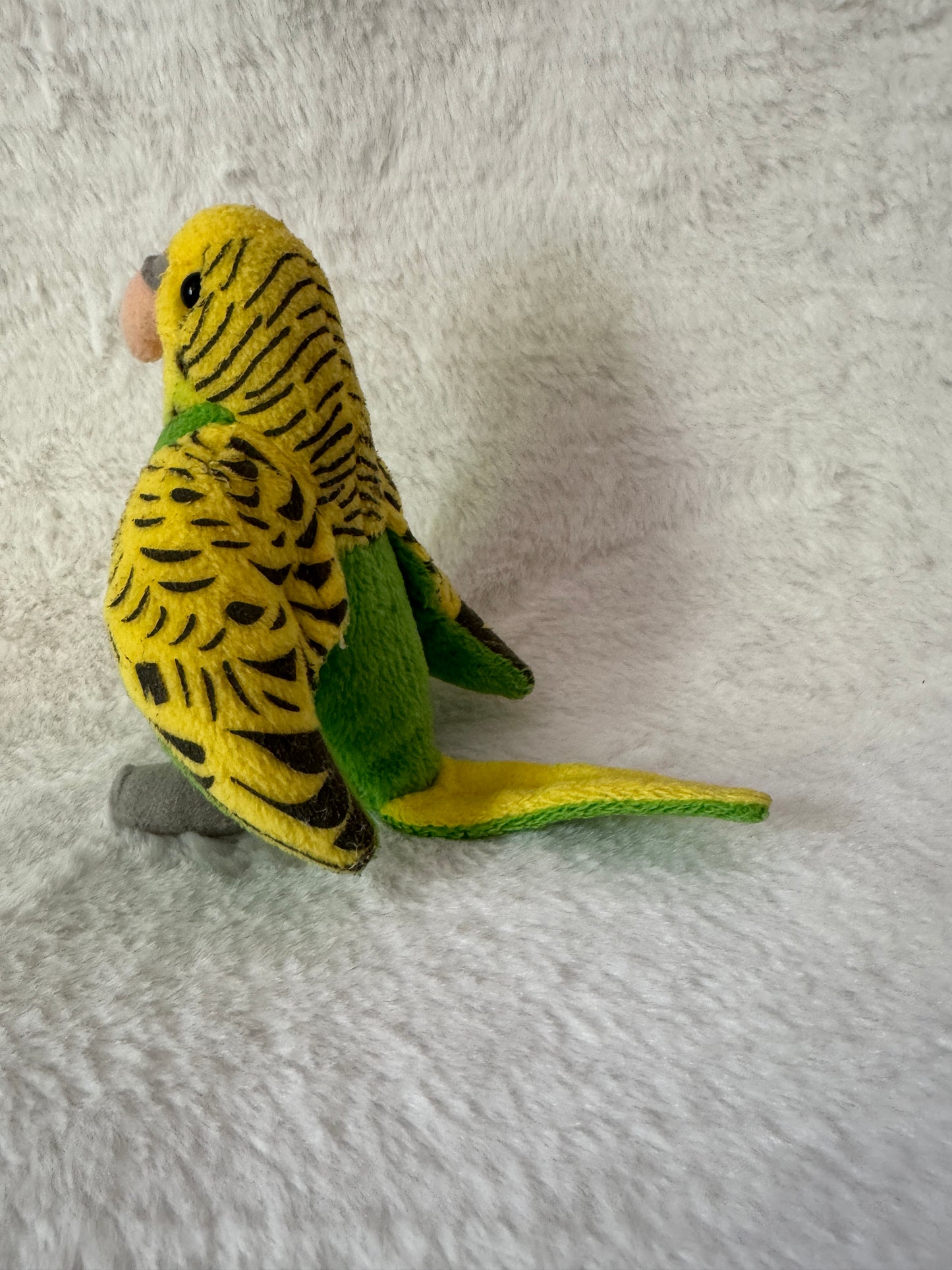 Vogel Wellensittich
