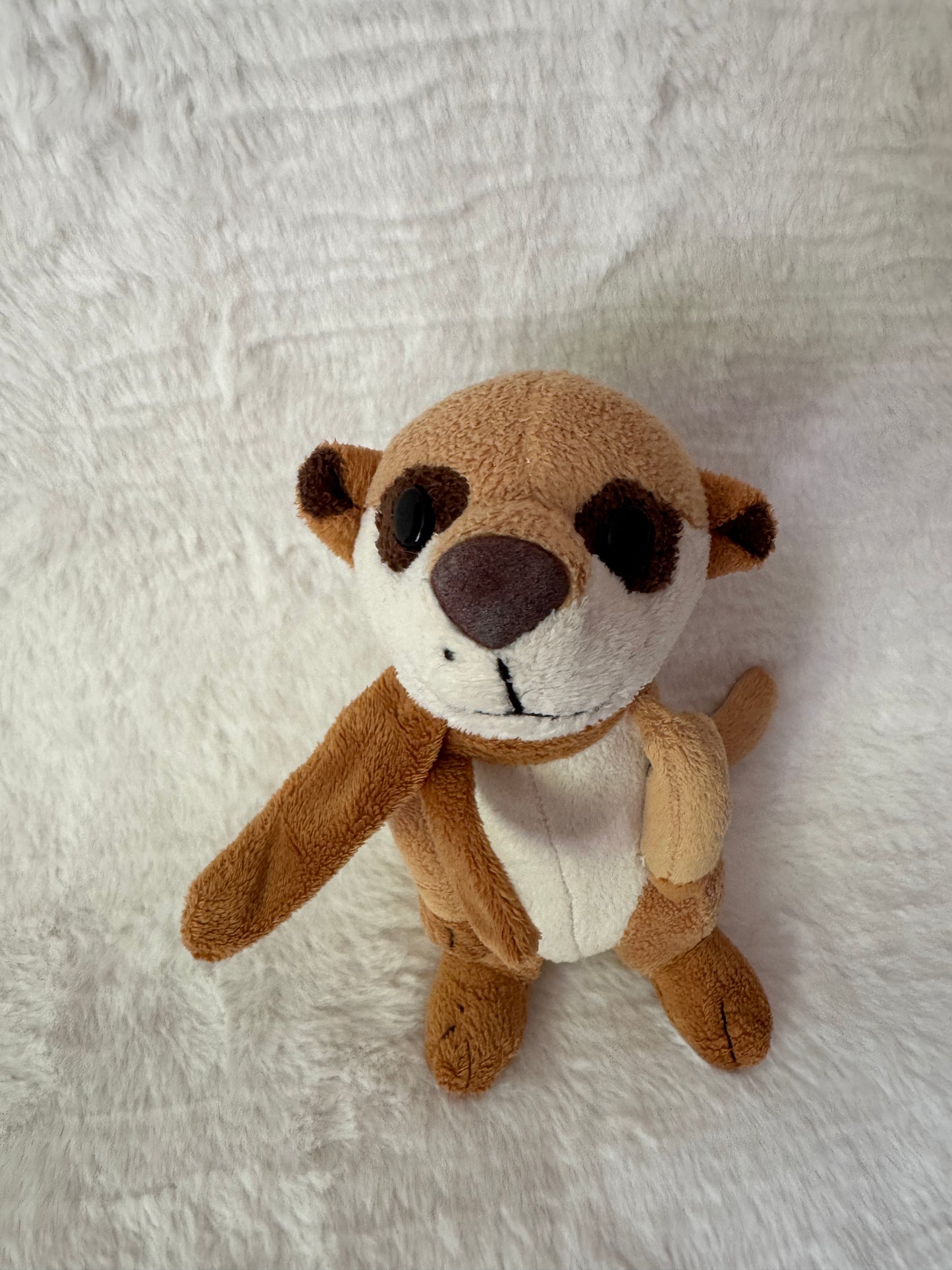 Erdmännchen