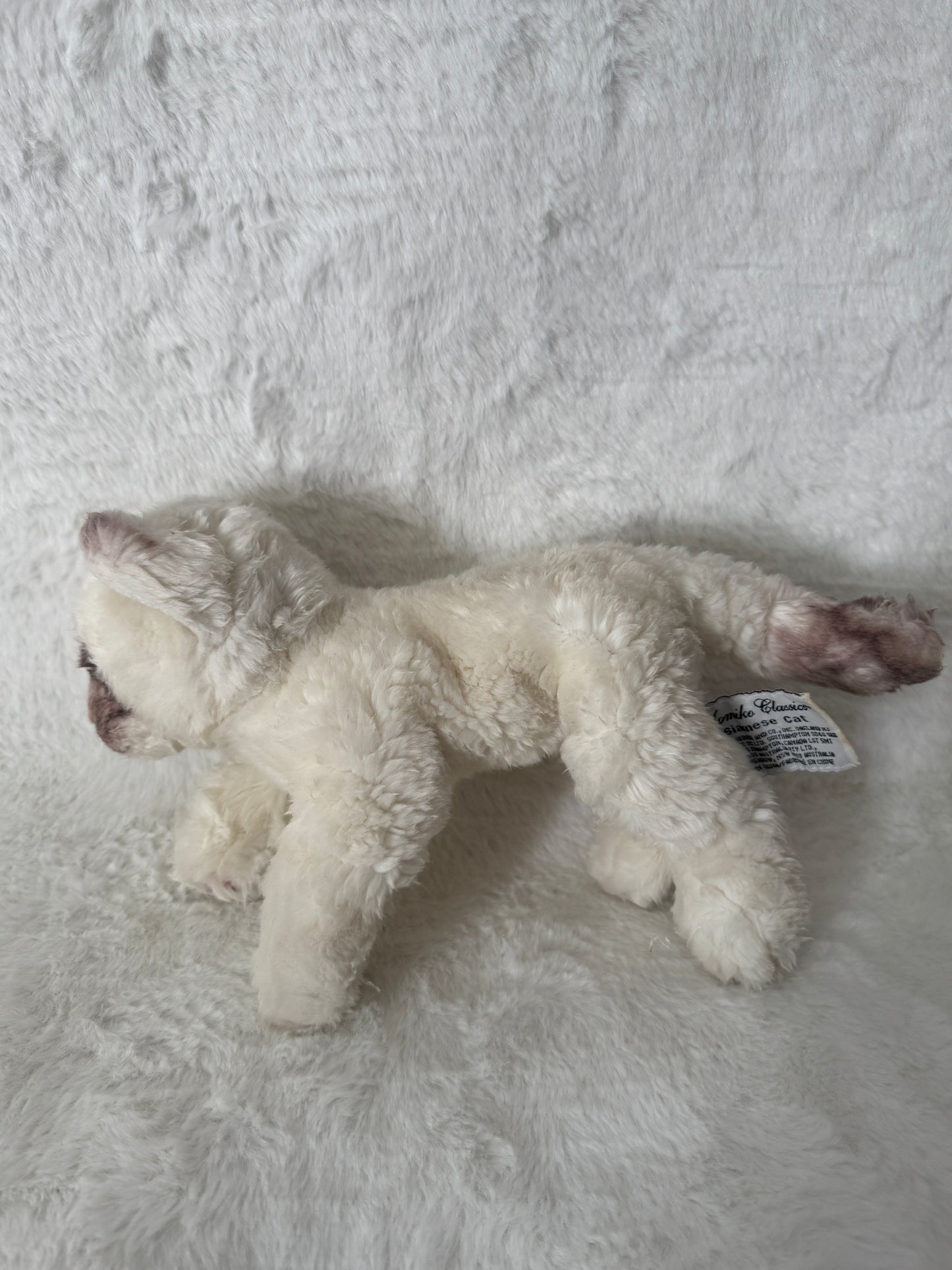 Katze