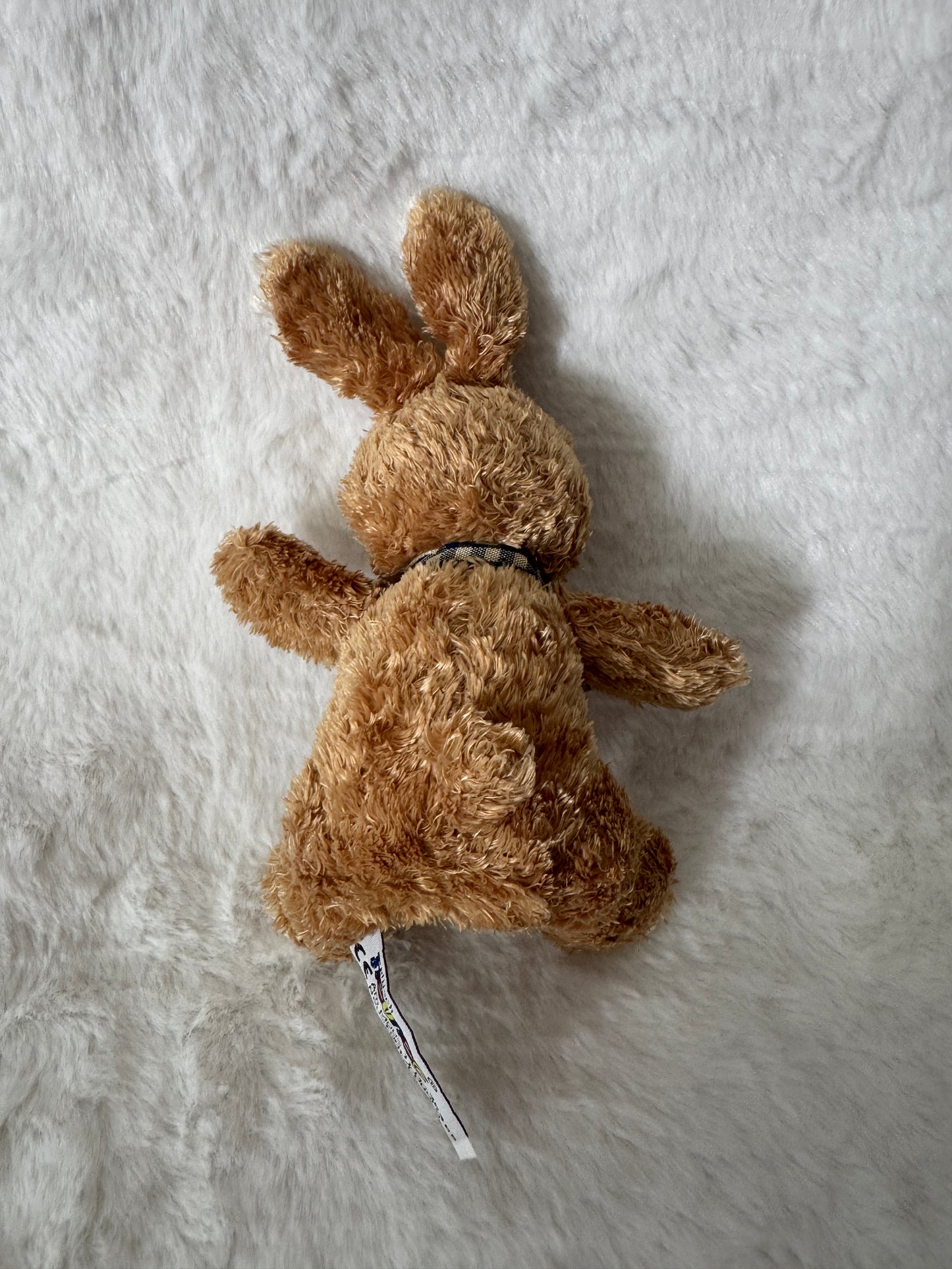 Hase
