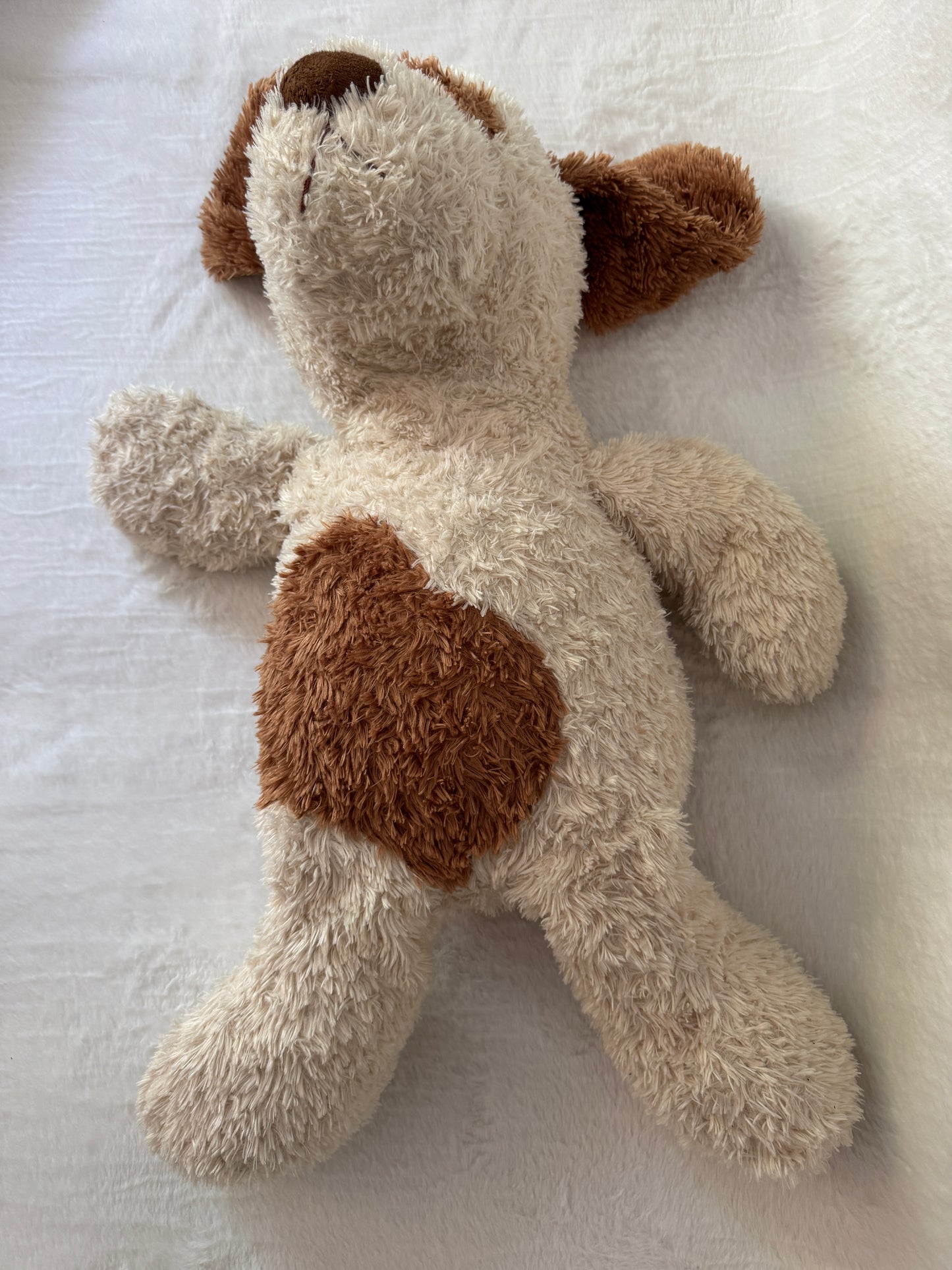 Hund Groß