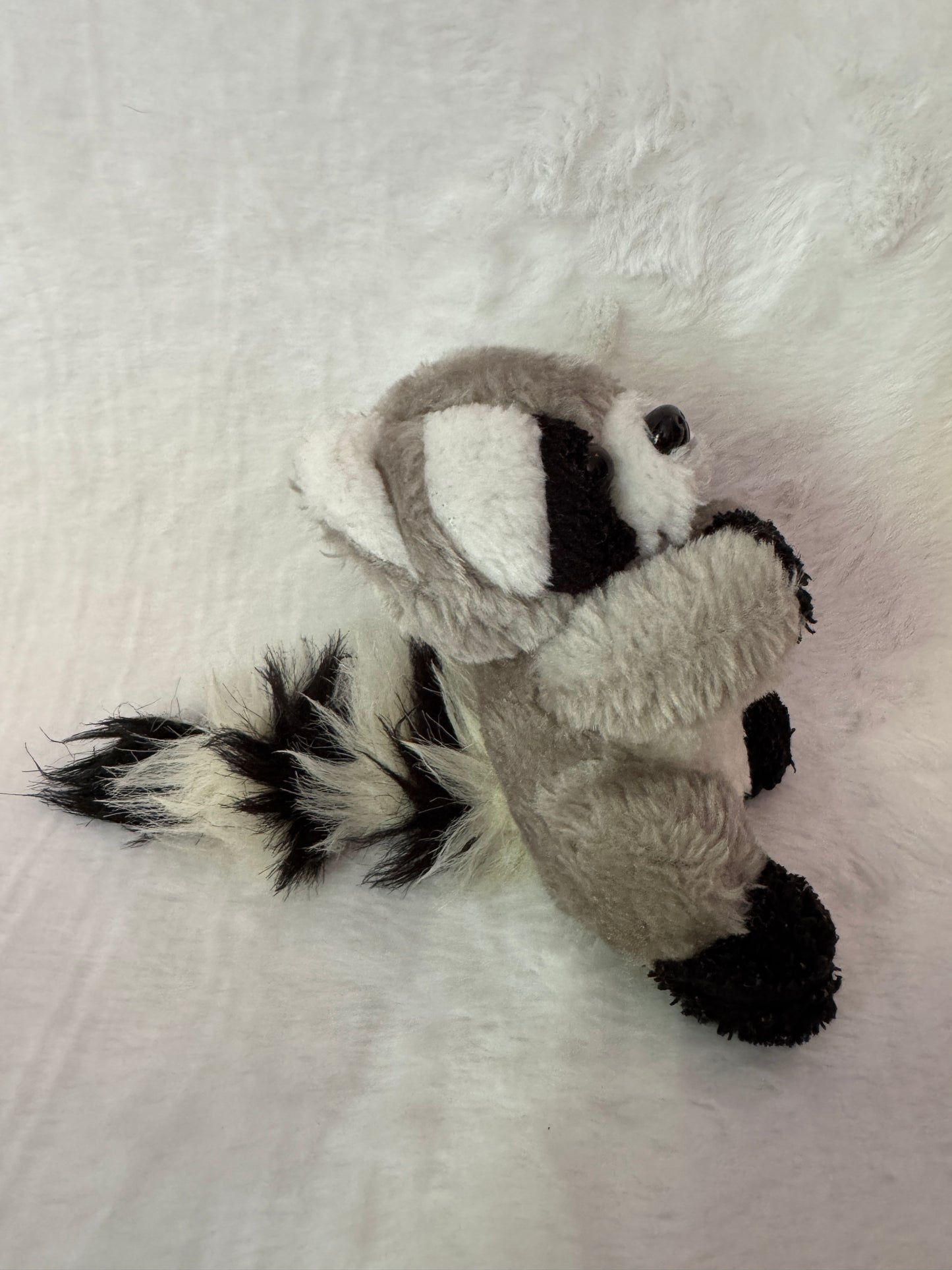 Waschbär