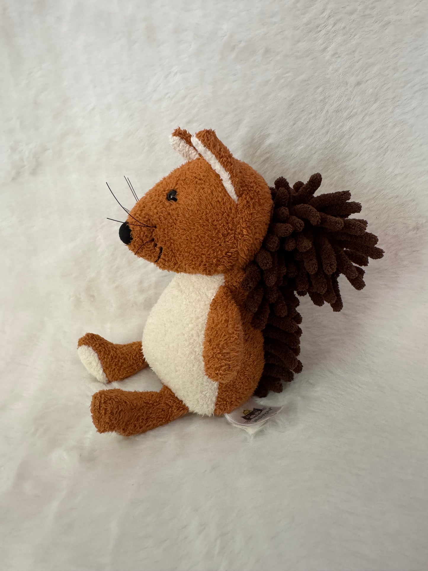 Eichhörnchen