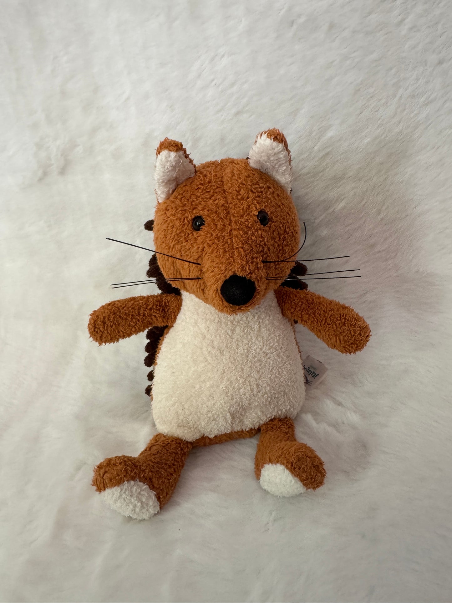 Eichhörnchen