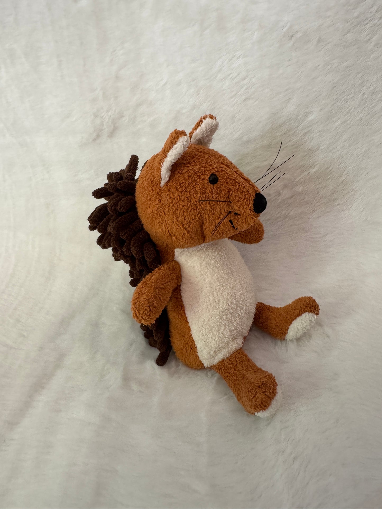 Eichhörnchen