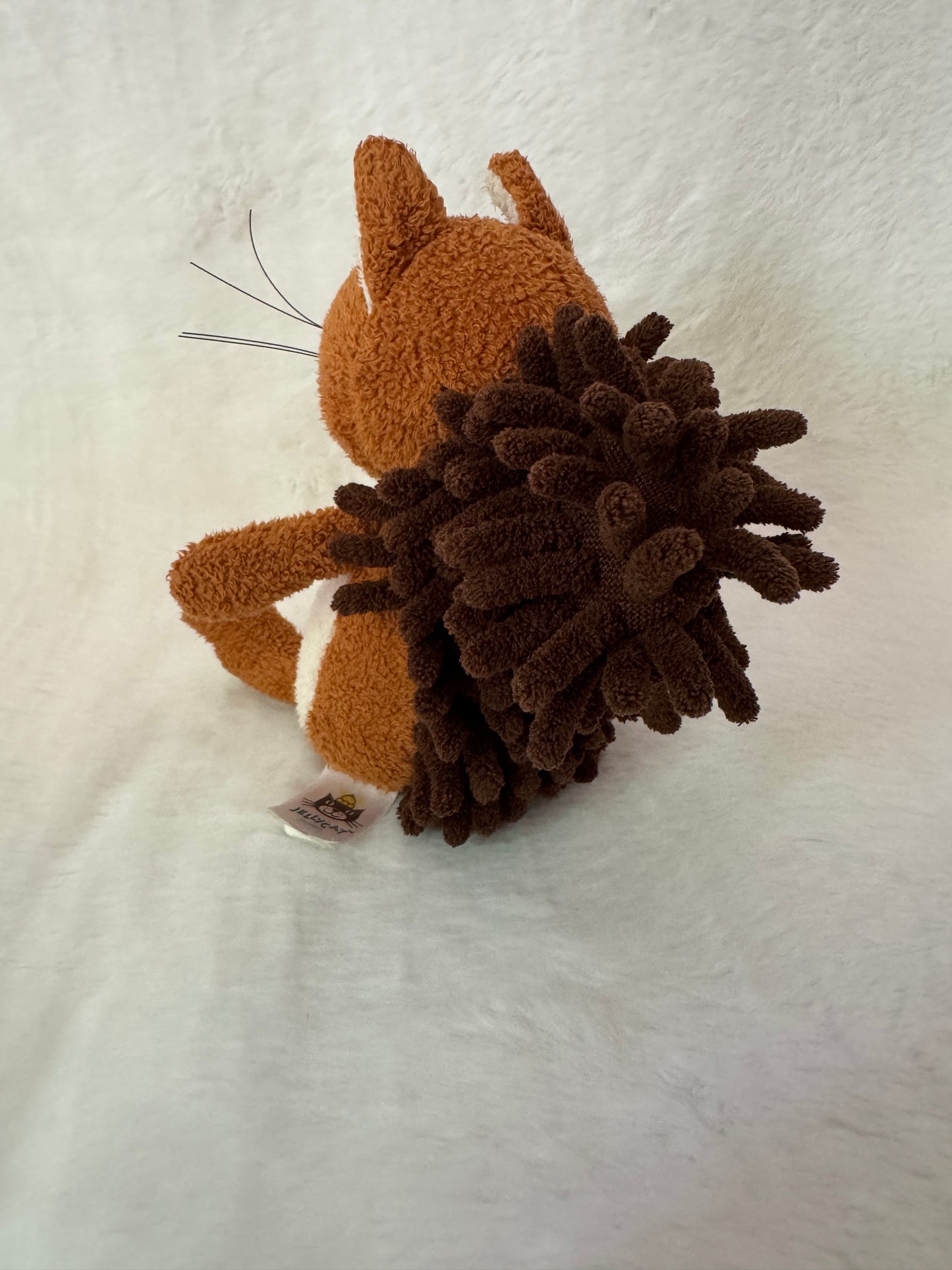 Eichhörnchen