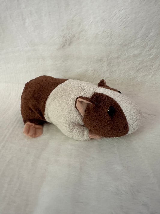 Meerschweinchen