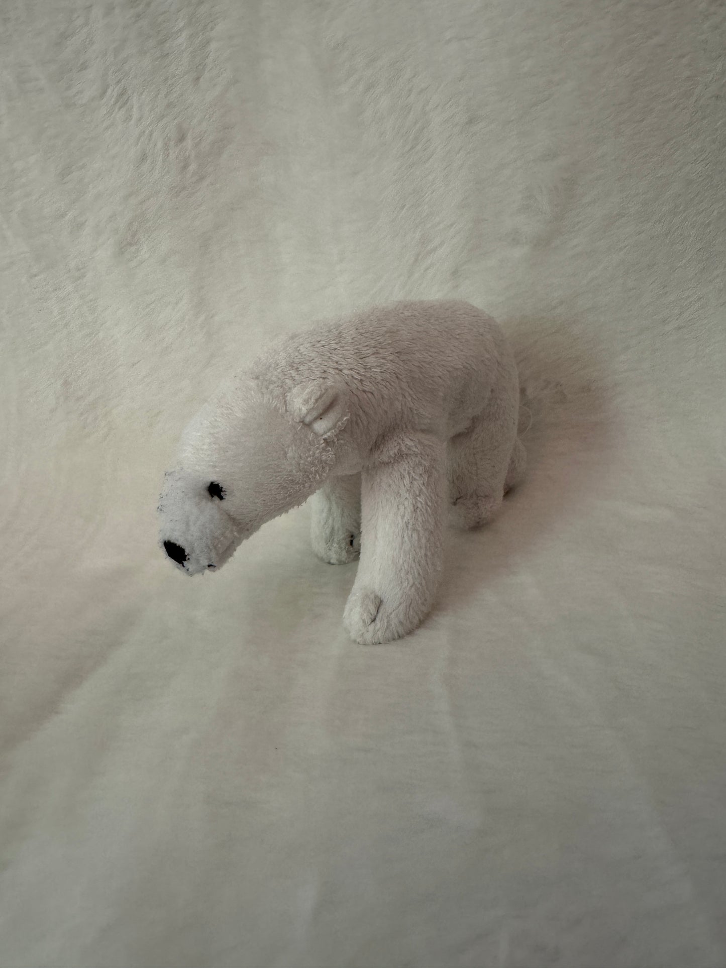 Eisbär