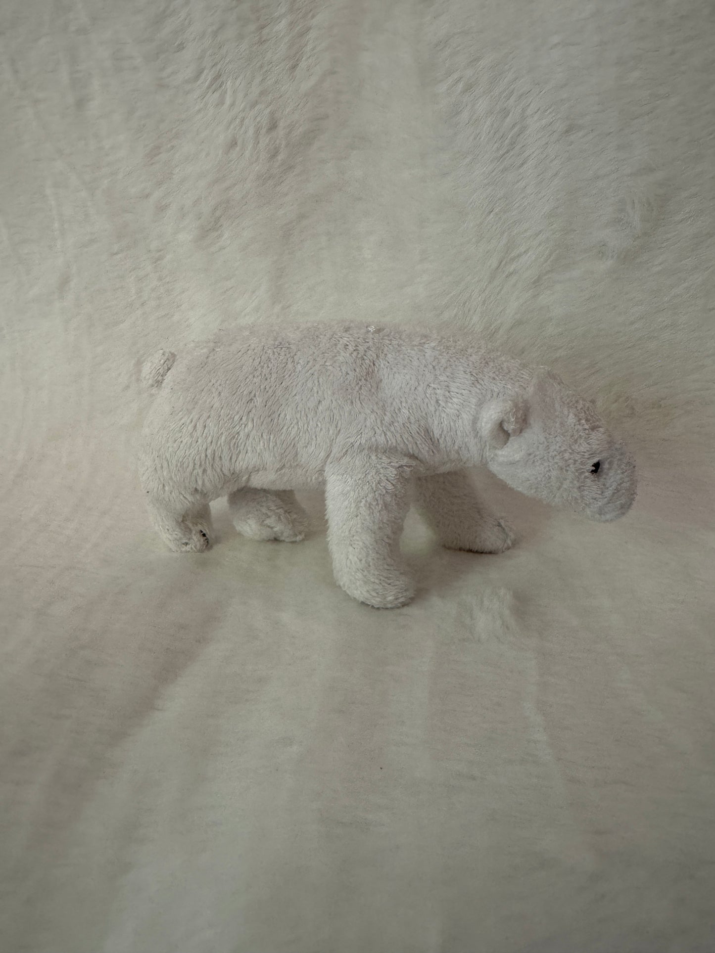 Eisbär