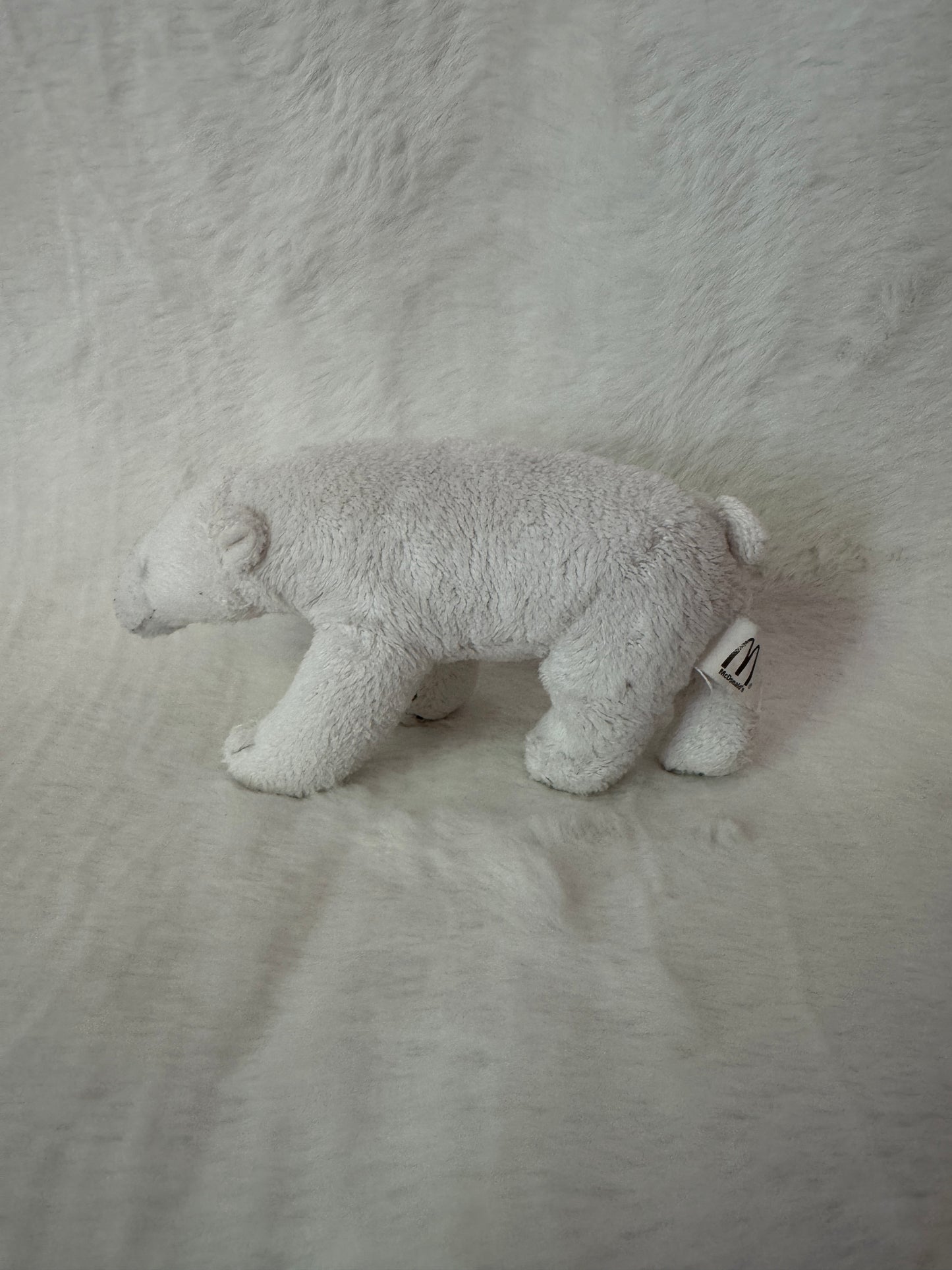 Eisbär