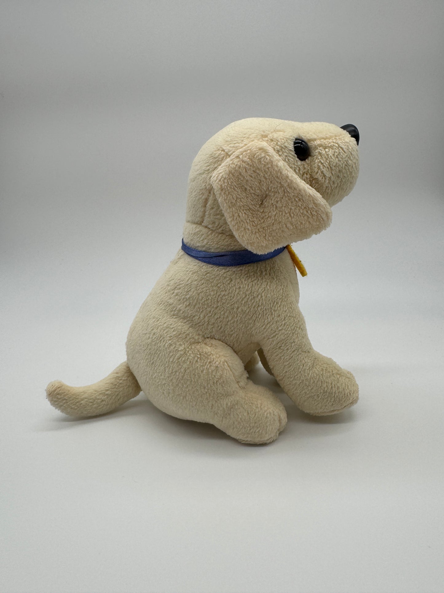 Hund Labrador Retriever Hakle